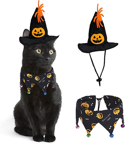 Halloween Costumes For Cats 27655208-a