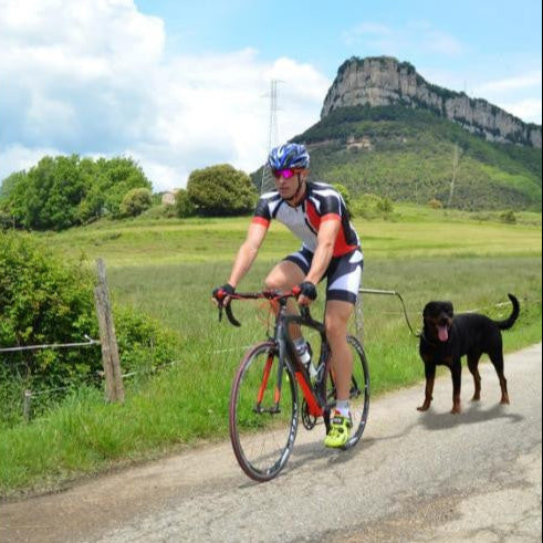 Dog Bike Leash with Running Attachment 262993