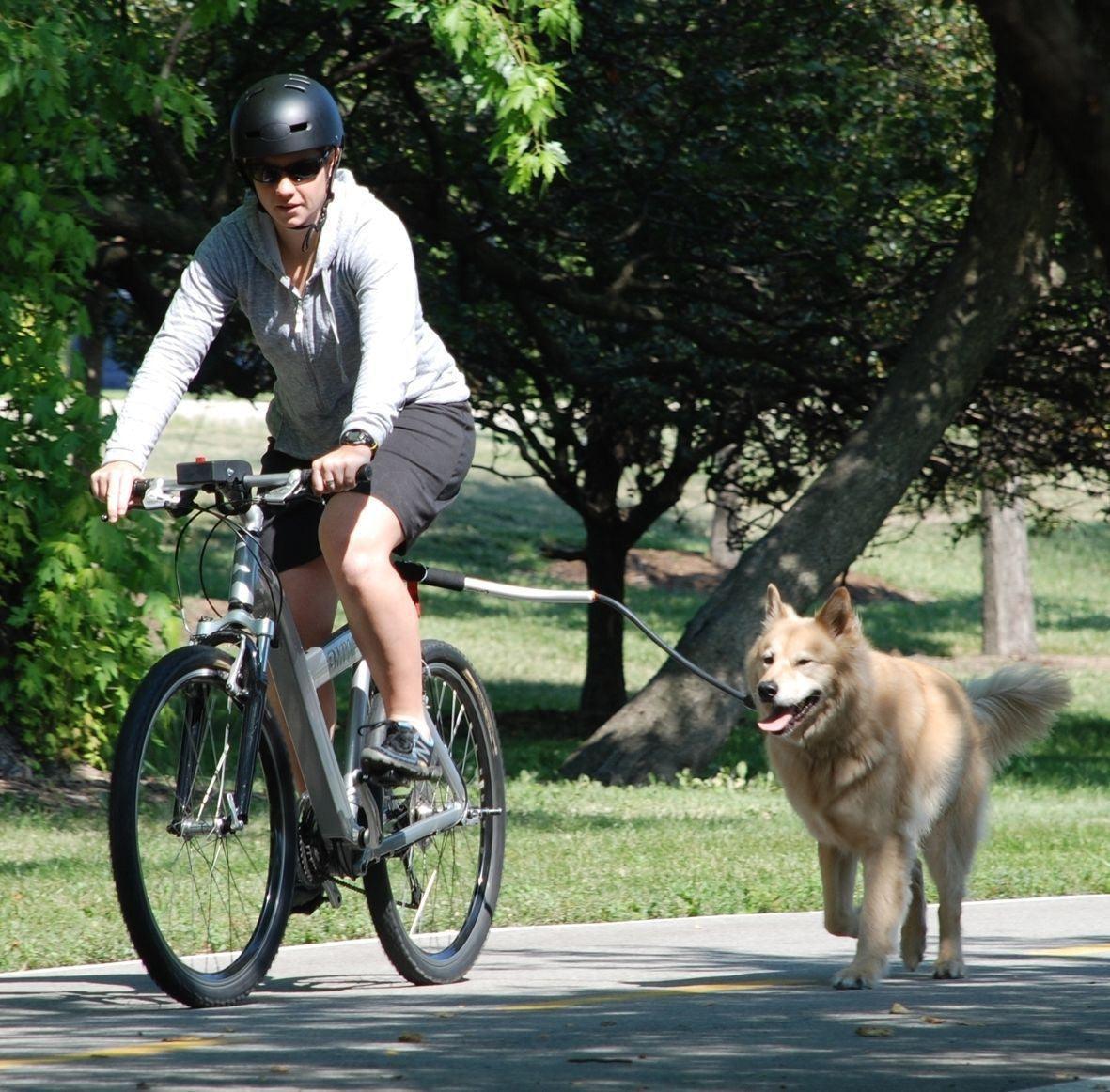 Dog Bike Leash with Running Attachment 262993