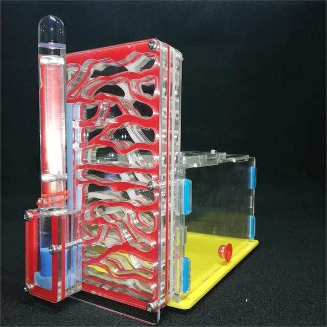 Ant Farm Nest - Insect Ant Nests Villa Pet Mania for House Ants 27161868-red