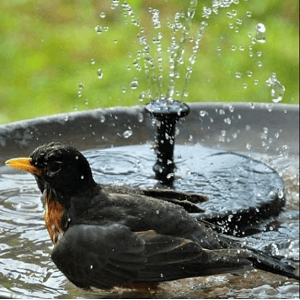 Solar Water Pond Fountain Garden