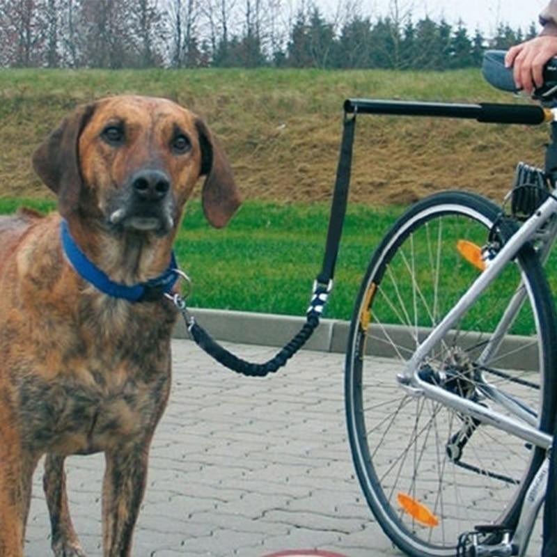 Dog Leash For Bike Riding