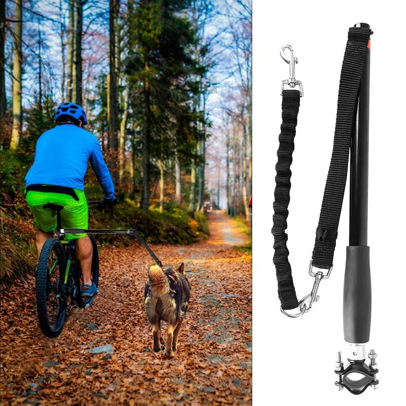Dog Leash For Bike Riding