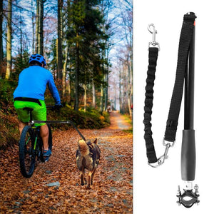 Dog Leash For Bike Riding