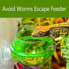 The Crawler Supplies Feeders Chameleon Lizard Sucker Supplies