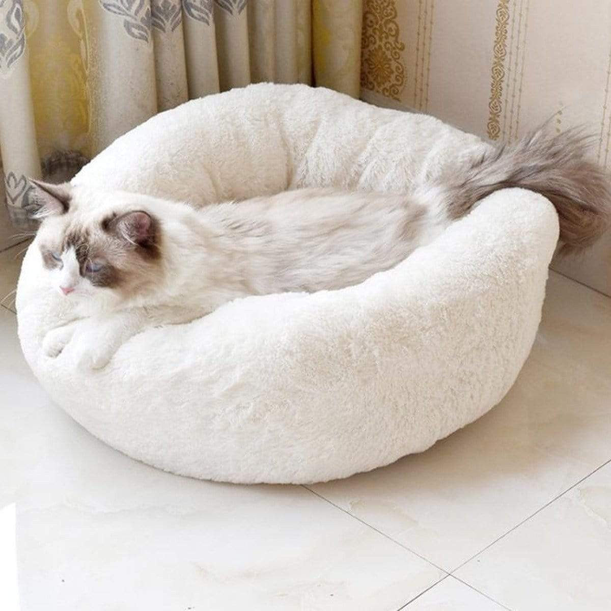 Round & Raised Cat Marshmallow Bed By Presentpet