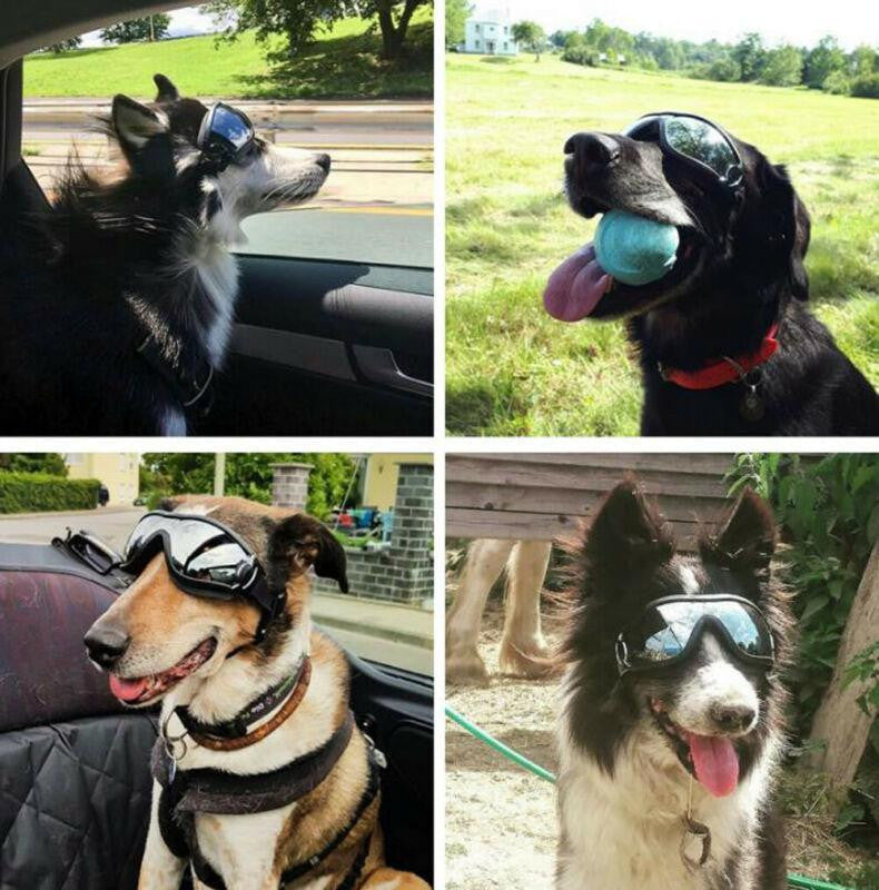 Protective Dog Goggles - Travel Skiing Anti-Fog Snow Goggles for Dogs 8142394589384-al