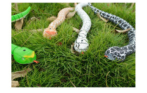 Remote Control Snake Toy For Cats