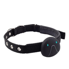 Gps Dog Tracker Collar