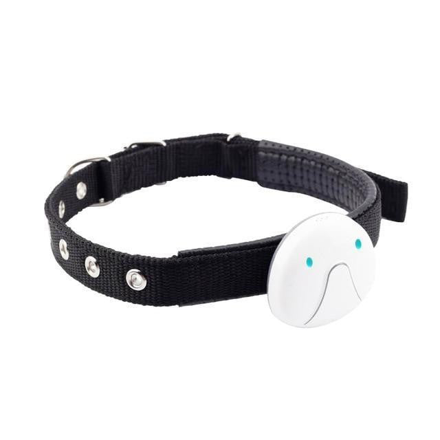 Gps Dog Tracker Collar