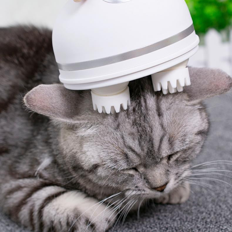 Electric Cat Massager