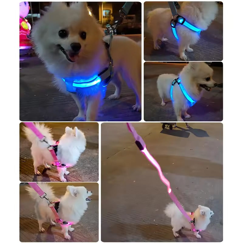 Adjustable LED Dog Harness - Log Leash Light for Night Walks 250307