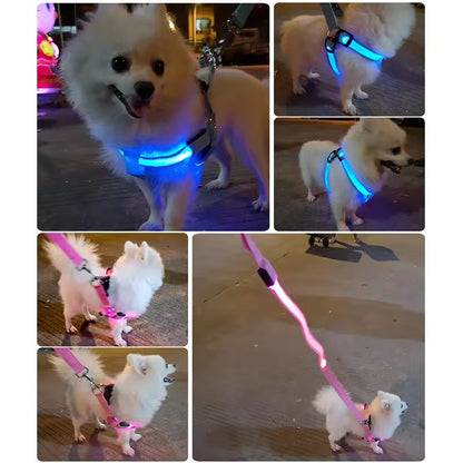 Adjustable LED Dog Harness - Log Leash Light for Night Walks 250307