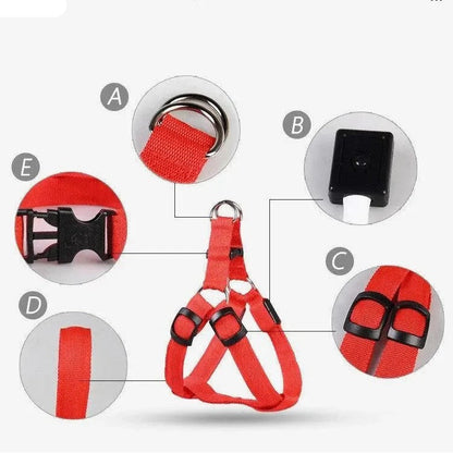 Adjustable LED Dog Harness - Log Leash Light for Night Walks 250307