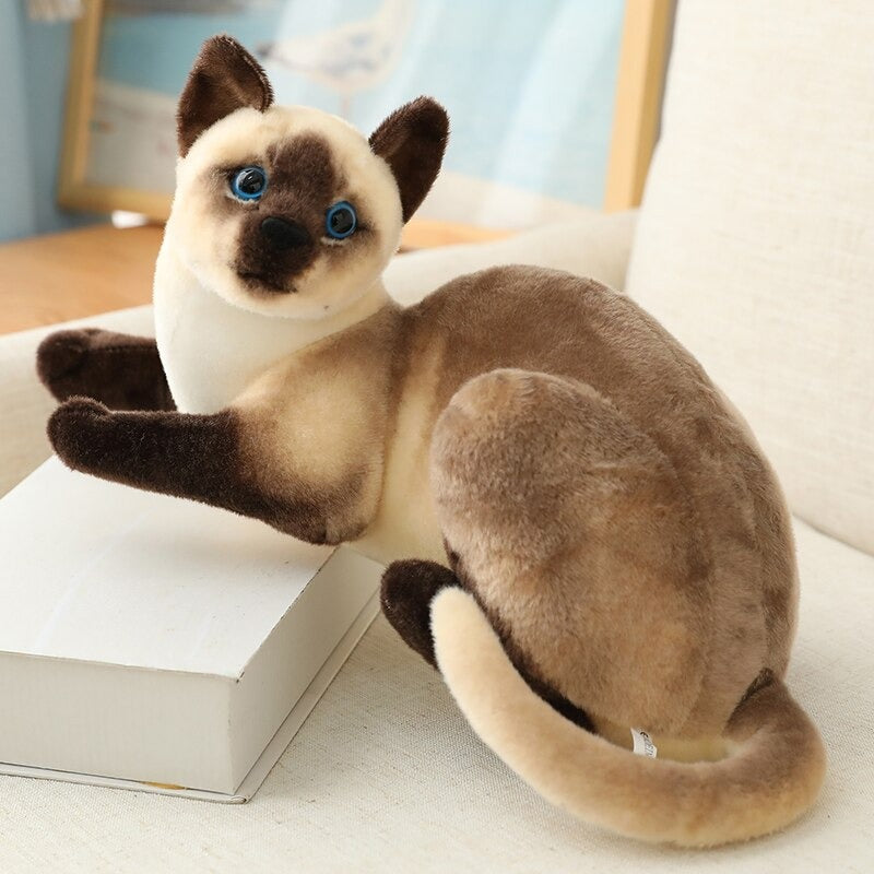 Shorthair & Siamese Cat Plush Toy – Adorable And Lively Companion