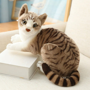 Shorthair & Siamese Cat Plush Toy – Adorable And Lively Companion