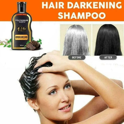Grey Reverse Hair Color Shampoo 250800