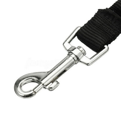 Dog Leash For Bike Riding