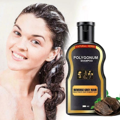 Grey Reverse Hair Color Shampoo 250800