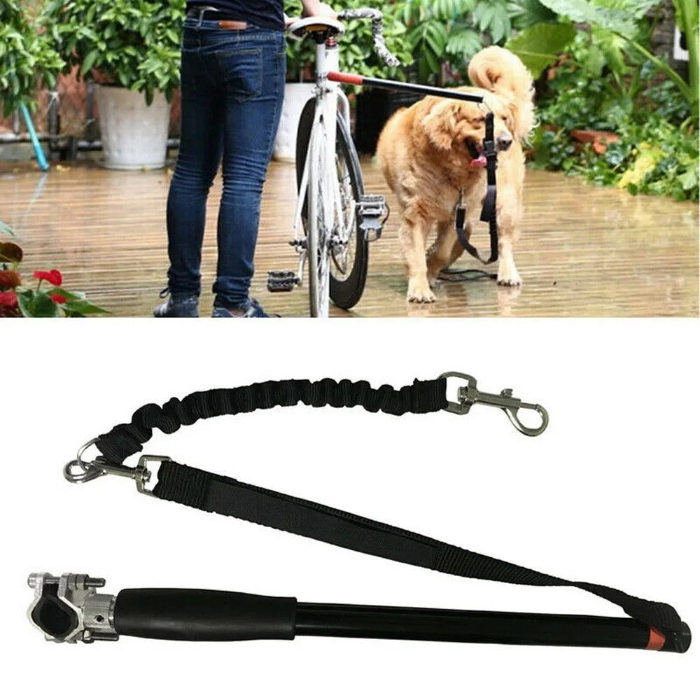 Dog Leash For Bike Riding