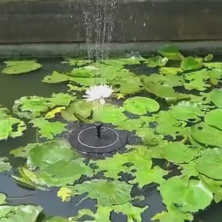 Springwave Bird Bath Solar Fountain