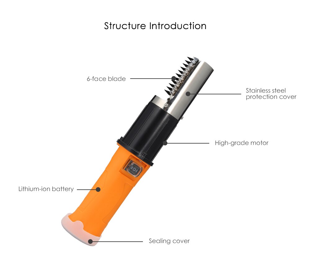 Electric Fish Scaler Tool