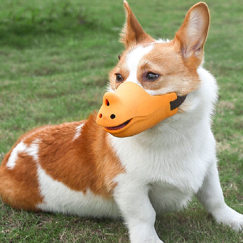 Rhino Mouth Shape Dog Muzzle