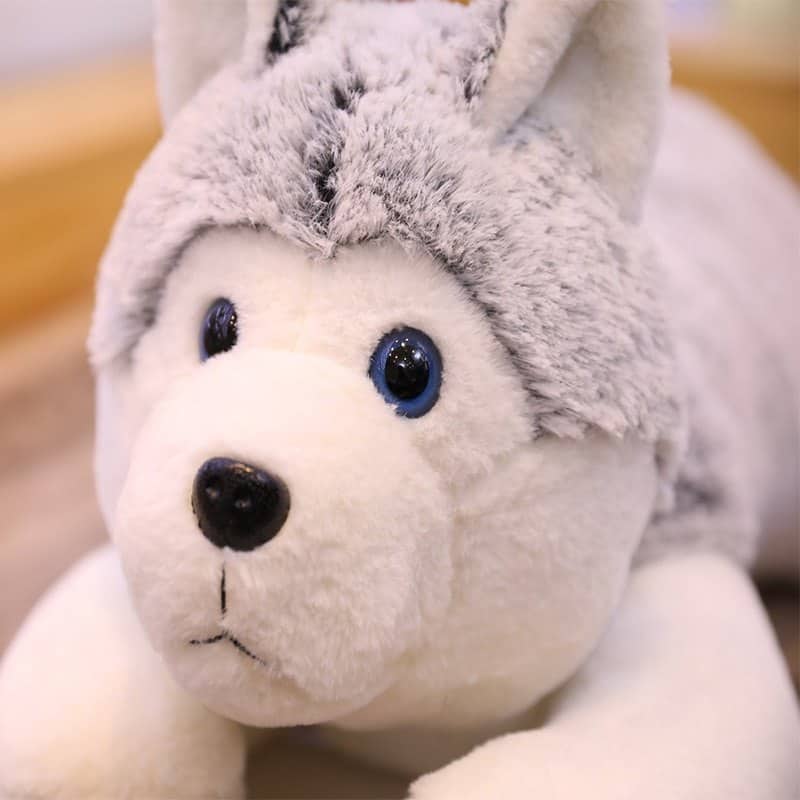 Siberian Husky Plush