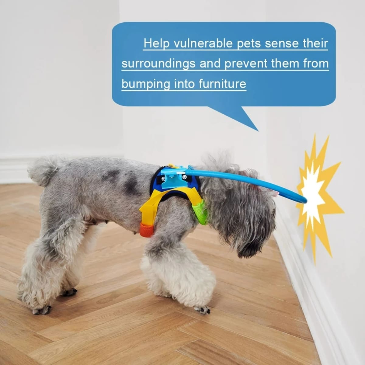 Protective Blind Dog Halo – Bumper Collar with Sensor for Walking Aid