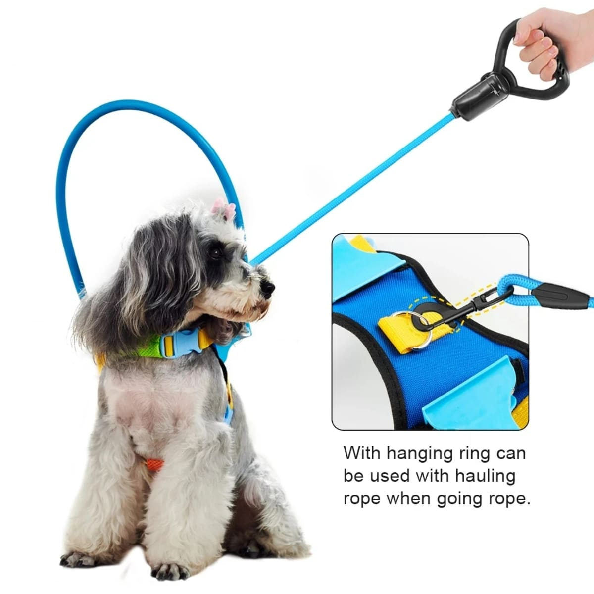 Protective Blind Dog Halo – Bumper Collar with Sensor for Walking Aid