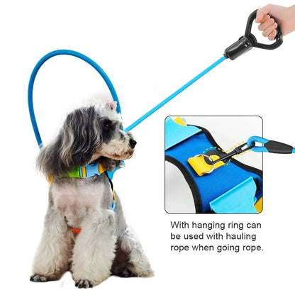 Protective Blind Dog Halo – Bumper Collar with Sensor for Walking Aid