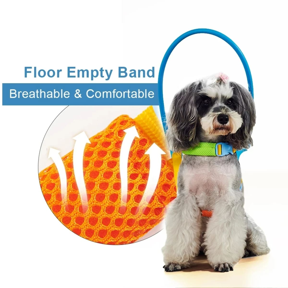 Protective Blind Dog Halo – Bumper Collar with Sensor for Walking Aid