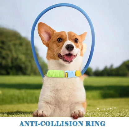 Protective Blind Dog Halo – Bumper Collar with Sensor for Walking Aid