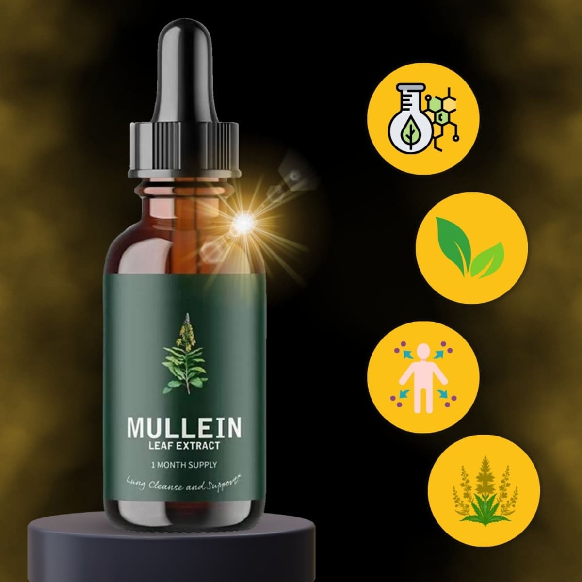 Organic Mullein Drops for Lungs - Asthma Relief & Respiratory Support (60ml) 348839
