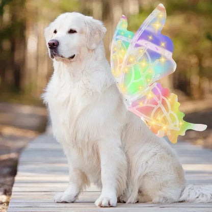 Butterfly Fairy Wings for Dogs - Enchanting Pet Accessory 8277336555718-1