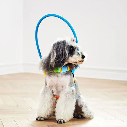 Protective Blind Dog Halo – Bumper Collar with Sensor for Walking Aid