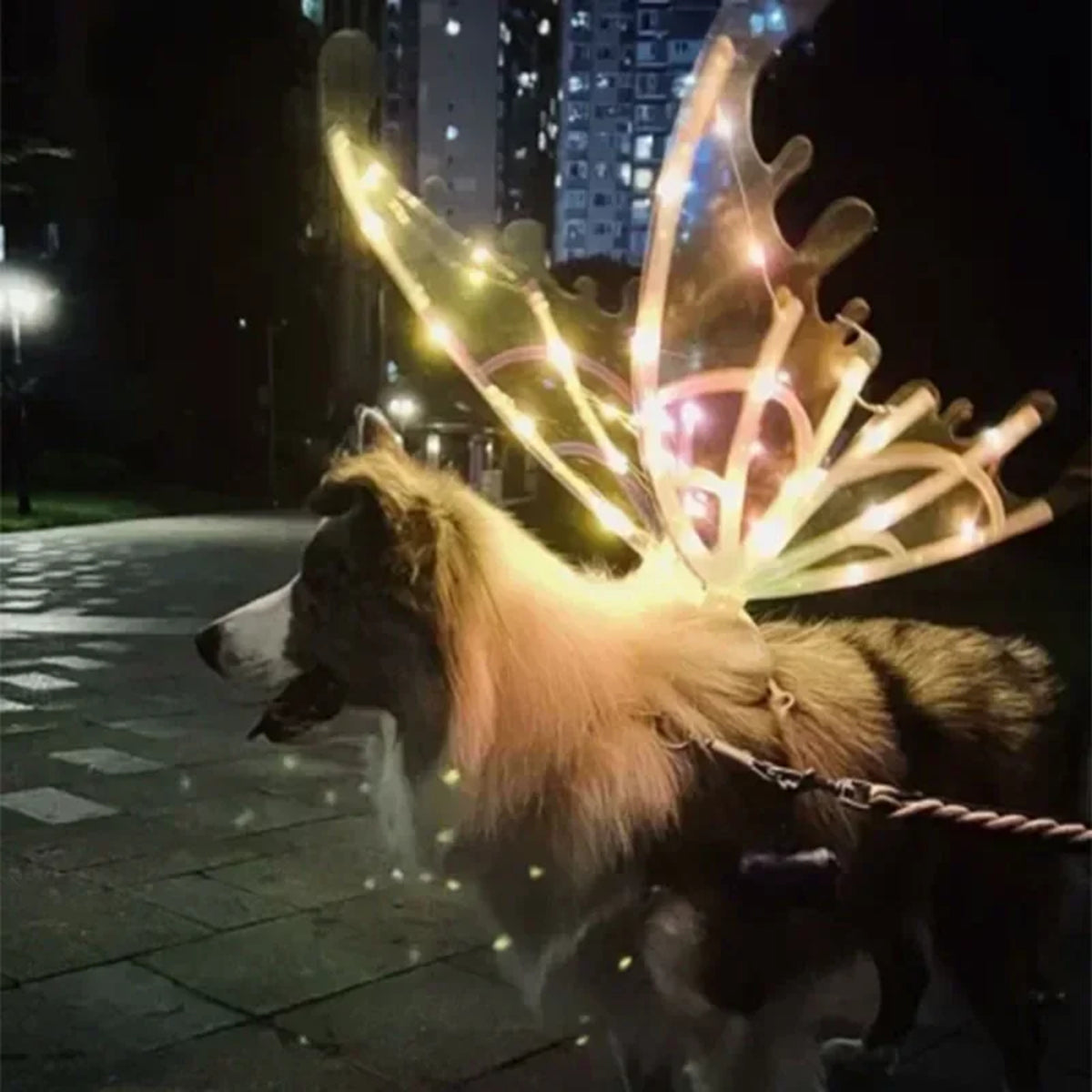 Butterfly Fairy Wings for Dogs - Enchanting Pet Accessory 8277336555718-1