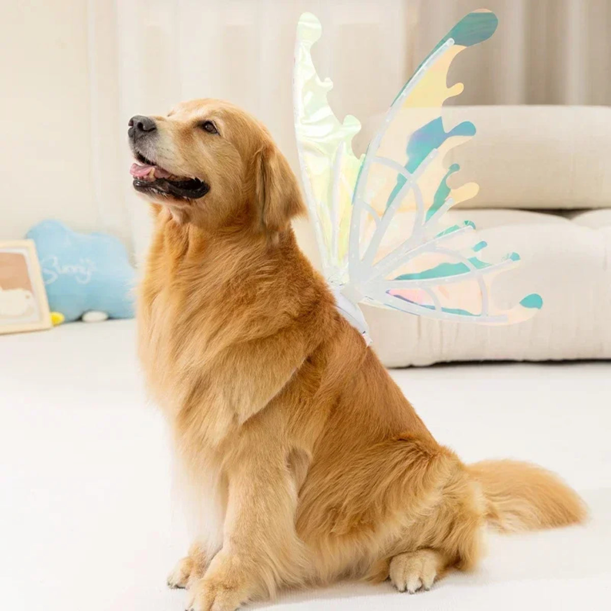 Butterfly Fairy Wings for Dogs - Enchanting Pet Accessory 8277336555718-1