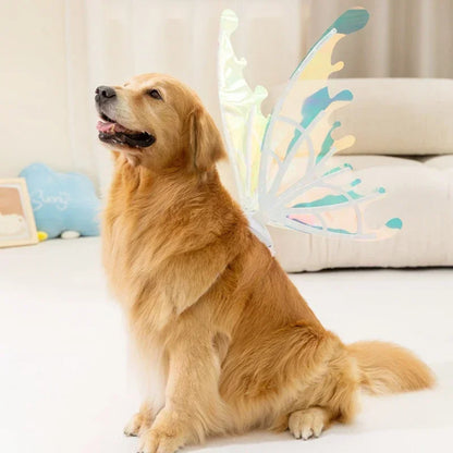 Butterfly Fairy Wings for Dogs - Enchanting Pet Accessory 8277336555718-1