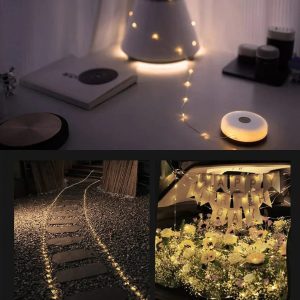 Transportable Led Lights Garland