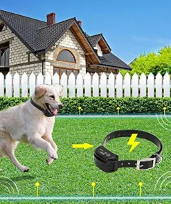 Invisible Electronic Fence For Dogs And Cats7