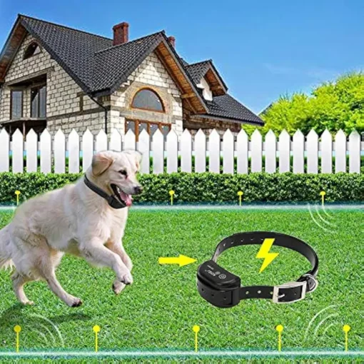 Invisible Electronic Fence For Dogs And Cats7