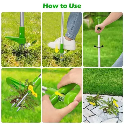 Long Handle Standing Weed Puller10