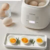 Multifunctional Egg Boiler1