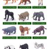 Realistic Safari Animal Figurines - Mini Farm & Woodland Models for Kids Party6