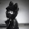 Removable Cat Ear Motorcycle Helmet 11