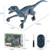 Remote Control Dinosaur Jurassic Velociraptor