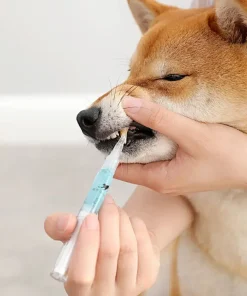 Pet’S Teeth Health By Repairing And Preventing Disease