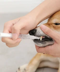 Pet’S Teeth Health By Repairing And Preventing Disease1