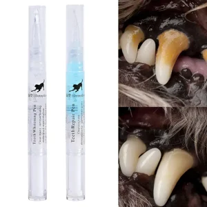 Pet’S Teeth Health By Repairing And Preventing Disease4